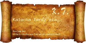 Kalocsa Terézia névjegykártya
